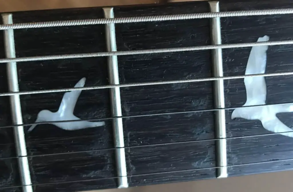Grime and Dirt on Fretboard