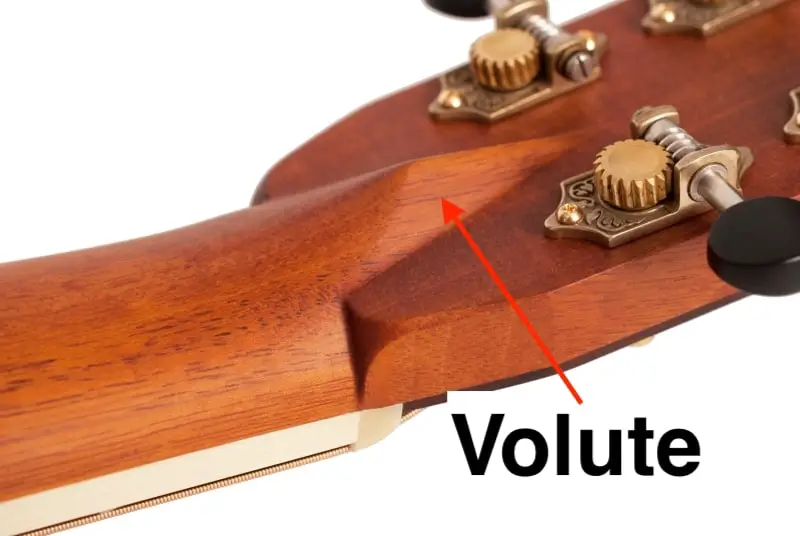 A volute on a guitar headstock. 