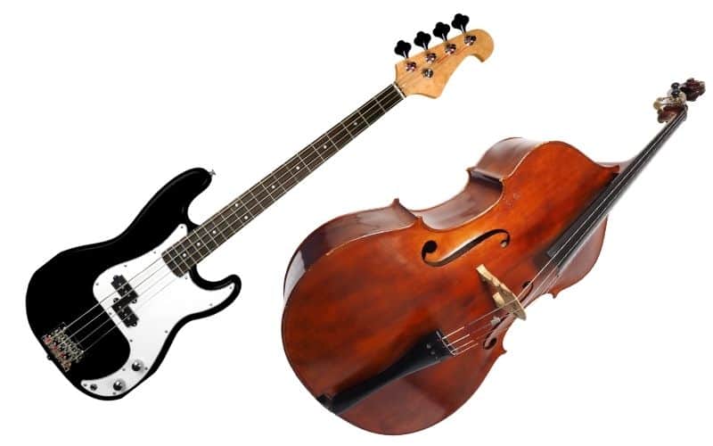 double bass and bass guitar