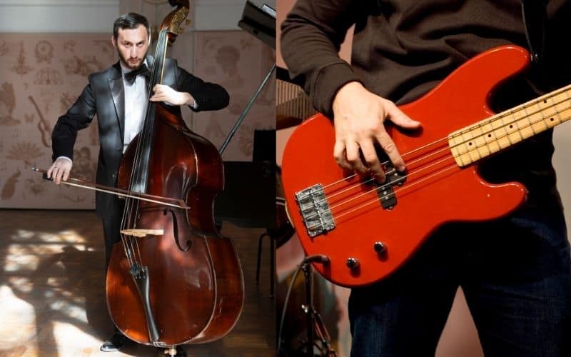 Double Bass Player and Bass Player