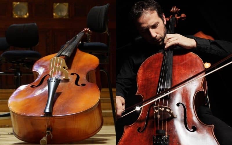Double Bass and Cello 