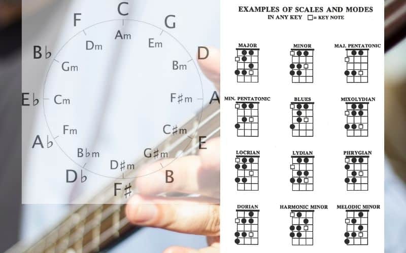 Circle of 5ths and Bass Scales Chart 