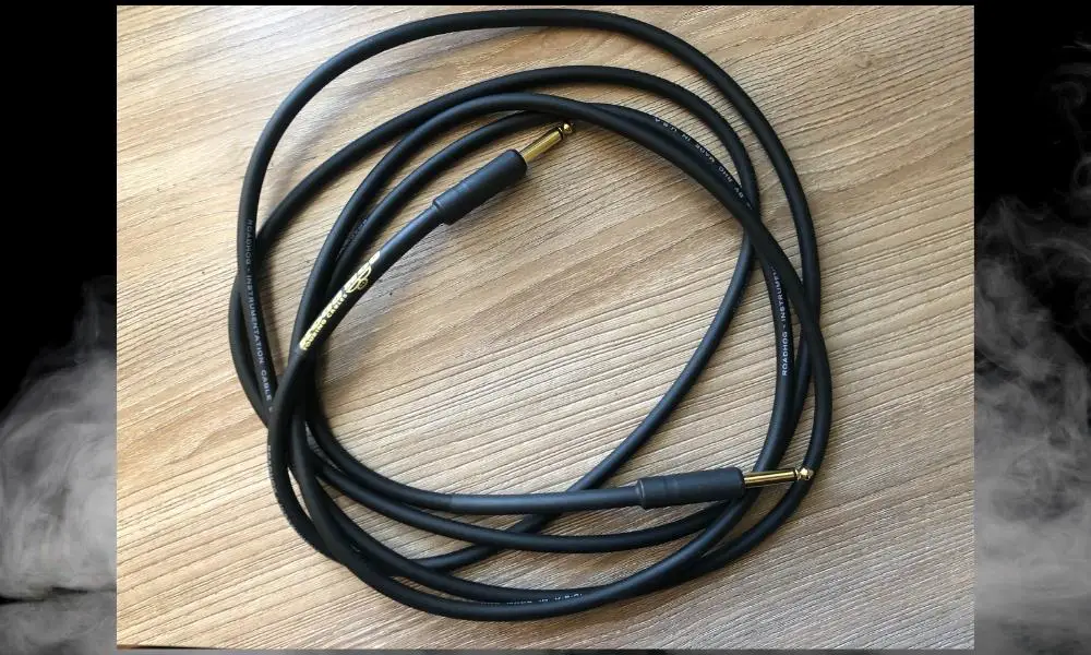 Road Hog Instrument Cable - How to Connect A Boss Loop Station 