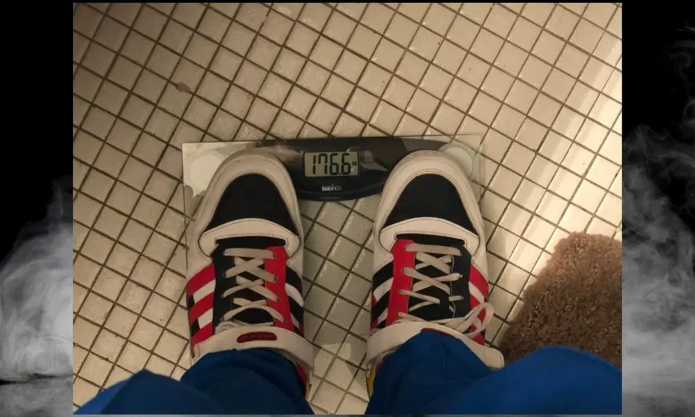 Before - How Much Does An ESP Eclipse Weigh 