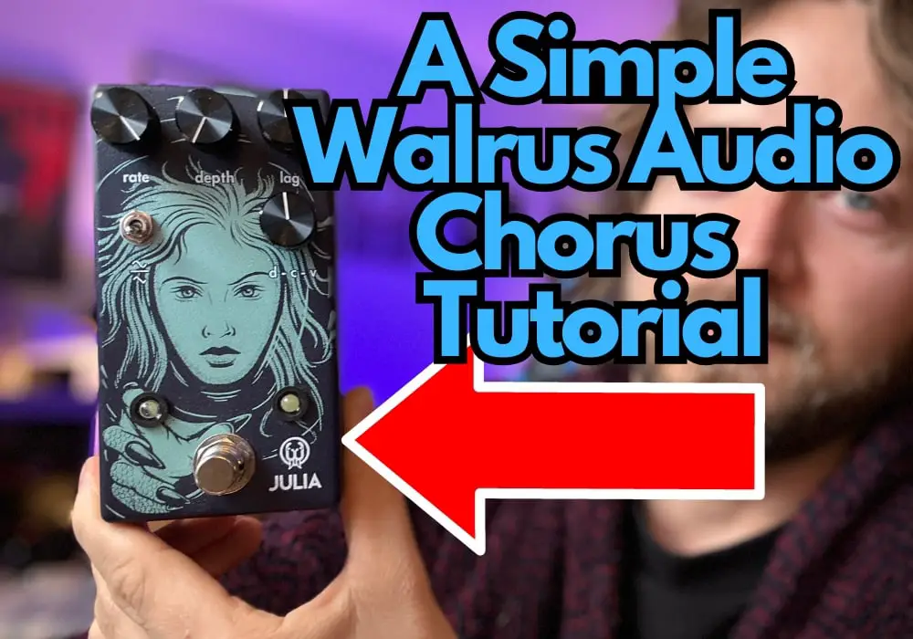 A Simple Walrus Audio Julia Tutorial (1000 x 700 px) - for TG
